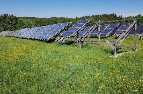 美國太陽能巨頭破產 為何太陽能產業遭遇寒冬？