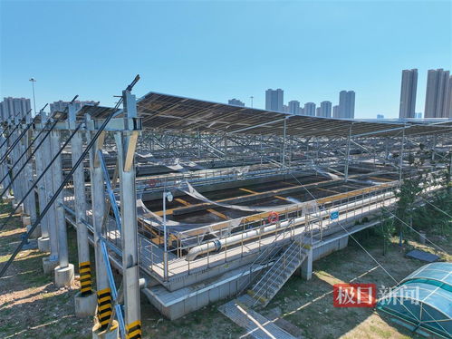 武漢黃家湖污水處理廠分布式光伏項目并網發電，每天可發電近2萬度