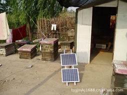 北京光聚能源科技 引領太陽能發電技術服務的創新實踐